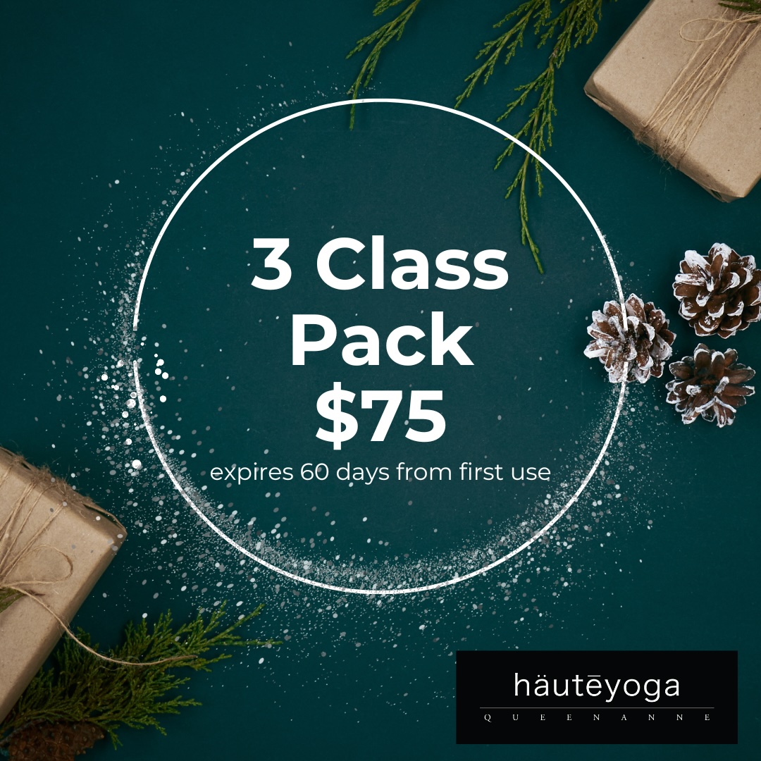 haute yoga holiday promos